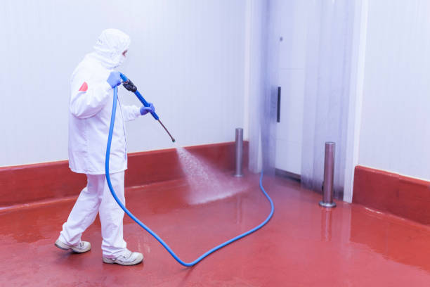 Best Driveway Cleaning and Restoration in Meadow Woods, FL