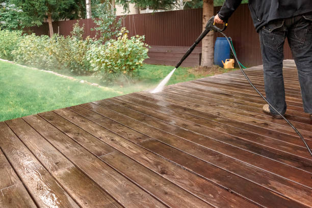 Best Brick and Stone Cleaning in Meadow Woods, FL