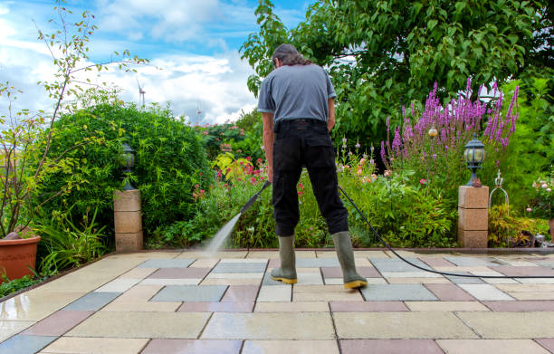 Best Concrete Surface Cleaning in Meadow Woods, FL