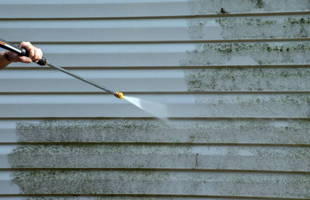 Best Roof Cleaning and Mildew Removal in Meadow Woods, FL
