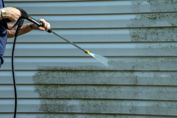 Best Fence Cleaning and Maintenance in Meadow Woods, FL