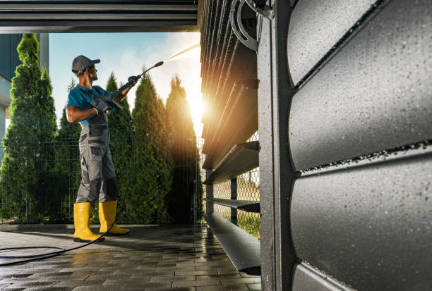 Best Pool Deck Cleaning in Meadow Woods, FL