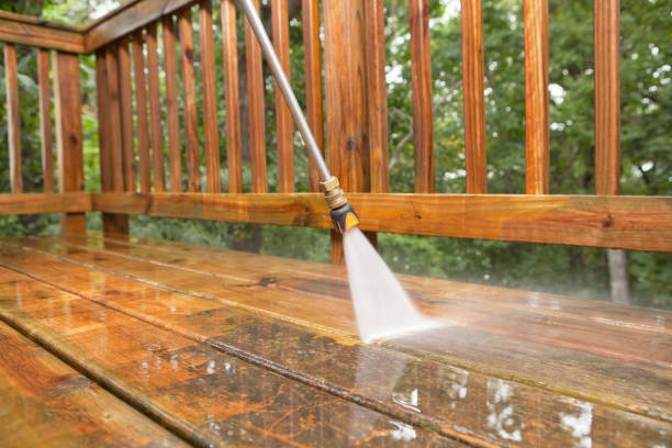 Best Gutter Cleaning and Brightening in Meadow Woods, FL